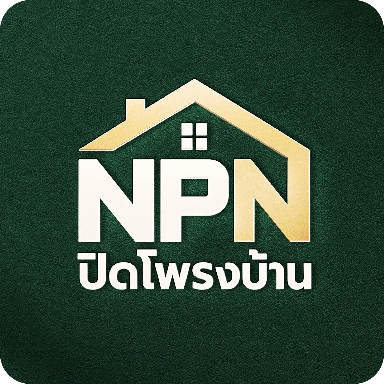 logo footer